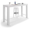 Mobili Fiver, Tavolo Alto Rachele 170x60 cm, Bianco Frassino, Tavolo Penisola Cucina per 6 persone, Made in Italy