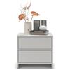 Regalik Comodino PARI con Due Cassetti 50 x 45 x 35 cm - Comodino Moderno in Cenere con Guide a Sfera Tip On