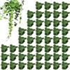 Generico Fermagli per Piante Rampicanti | 50 Pezzi a Forma di Farfalla per Orchidee | Supporto Stabilizzatore per Reticolo Decorativo, Ideale per Fiori e Rampicanti in Giardino, Interni, Esterni, Serra e Veget