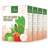 LERAVA® Kit Semi Orto [4x12 VARIETÀ] - Bieta, Zucchino, Pomodoro, Valeriana, Carota, Lattuga, Ravanello, Cavolo, Spinacio, Cipolla, Cicoria, Peperone - Sementi per Orto, Semi da Piantare