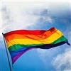 HOUSE CLOUD Bandiera Pace Arcobaleno 7 Colori 90x150 cm - Gay Pride LGBT Flag - Tessuto Resistente con Occhielli - Per Esterni e Interni, Manifestazioni, Eventi e Decorazioni - Lavabile e Riutilizzabile