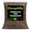 CLOROPHILLA Terriccio Professionale per Taleaggio e Radicazione - Mix Drenante e Arieggiato con Torba Fine, Fibra di Cocco e Pomice 2-4 mm (6 Litri)