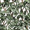 VERDELOOK Sempreverde® Traliccio Estensibile in salice, 1x2 m, Foglia edera, Decorazione Giardino