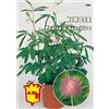 Mondonatura Mimosa Pudica o Sensitiva semi in Busta