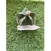 Vivaio Garden Forest Astrophytum Myriostigma Quadricostatum Nudum Vaso 10,5 cm - Cactus Ornamentale Senza Spine, Pianta Grassa da Collezione