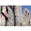 Seeds & Plants Shop by Ipsa Pezzi - 10x Cleistocactus Strausii - Silberkerzenkaktus Cactus Piante - Seme ID1755 - Seeds & Plants Shop by Ipsa