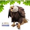 Generic Bird Tools - Garden Defender , Aquila esca spaventapasseri per uccelli | Ciondolo repellente a installazione rapida decorativo con carillon, spaventapasseri finto dall'aspetto autentico per