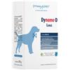 DYNAMOPET Srl Dynamo D Large 20 Bustine da 10g - Integratore Alimentare per Cani di Taglia Grande