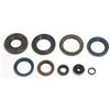 Athena P400270400220 Kit Paraoli Motore