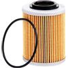 Road Passion 1*Filtro Olio 420956123 420956120 Compatibile con Can-Am Ryker 600 900 Rally 900 2019-2024/Outlander 330 400 450 500 570 650 800 850 1000 1000 800r 1000r Defender HD10 HD5 HD7 HD8 HD9