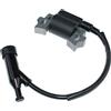ICOOYO Bobina del modulo di accensione per Kohler CH260 CH270 WH208 1758401-S
