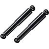 TGI - Auto Spare Parts - Taigi Internati TGI - 2 Ammortizzatori Posteriori compatibili con Fiat Panda 169 4x4 1.2 1.3 1.4 dal 2003 al 2013