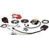 BRIXIAMOTO MALOSSI 5519632 Accensione a rotore interno MHR TEAM II compatibile con Piaggio, Gilera, Aprilia