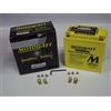 Motobatt MBTX16U Motobatt MBTX16U batteria 12 V 19 a 250 CCA Factory attivato Quadflex AGM batteria