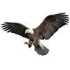 Asudaro Adesivo Aquila per Auto, 2 pcs Adesivo Aquila Volante 3d Aquila Animale Adesivo per Auto Adesivi per Auto Adesivi per Ali D'Aquila Adesivi per Emblema per Auto Adesivo per Carrozzeria Auto