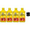 Generico 4 LITRI OLIO MOTO XTC C60 10W50 + FILTRO HIFLO HF204 compatibile con BARDAHL HONDA YAMAHA KAWASAki