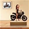 HCLRIU Statuette personalizzate in acrilico Sculture 2D personalizzate in stile cartone animato basate su fotografie Decorazioni per l'ufficio, regali di compleanno, regali personalizzati unisex