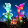GUANSHAN 2 luci solari da esterno PC, luci solari a fiore di giglio di calla, luce solare a LED a fiore, cambio di luce a 7 colori, perfetto per giardino, cortile, patio, passerella (rosso + viola)
