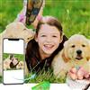 CleverFine Diamond Painting Personalizzato Kit Completo, Painting Diamond 5d Foto Personalizzata Quadri Con Perline (Diamanti rotondi, 60 * 80CM)