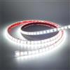 TOT ELECTRIC 100MT STRISCIA LED LUCE BIANCO FREDDO 220V IP65 Alta Luminosità, Senza Spina o Alimentatore, Illuminazione Diretta per Esterno, Facile da Installare Adesiva