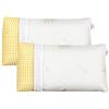EVERGREENWEB MATERASSI & BEDS Evergreenweb - Coppia Cuscini Letto 40x70 alti 18 cm con tessuto ALOE VERA Sfoderabili, Imbottitura 100% MEMORY FOAM, 2 Guanciali ANTIRUSSAMENTO Ortopedici per SOLLIEVO dal dolore al Collo e Cervicale
