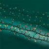 Kaemingk Filo 1000 Luci LED Calda Multicolor 8 Funzioni Esterno 22.5 Metri