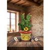 Generico Piantina vaso ficodindia decorativo in ceramica di Caltagione realizzato a mano (ROSSO)