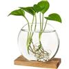 Generic Fioriera Rotonda in Vetro con Supporto in Legno - Contenitore per Piante Idroponiche, Elegante Vaso (Marrone)