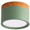 LAI HO Faretto da Incasso A LED, Attacco per Plafoniera A LED Moderno in Legno Nordico, Faretto in Alluminio Bianco Freddo per Corridoio da Cucina della Sala da Pranzo,Verde,7W