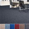 Floordirekt Tappeto Modello Malta, Rivestimento per Pavimento in Tessuto Non Tessuto agugliato per casa e Ufficio, Isolante dal Freddo e fonoassorbente (200 x 2000 cm, Colore: Antracite)