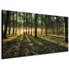 murando - Quadro Foresta 200x80 cm 5 Pezzi - Stampa su Tela Strutturata XXL Grande - Quadri Moderni Componibili Camera da Letto Matrimoniale - Stampe da Parete Arte - Alberi c-B-0306-b-m