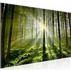 Runa Art Quadro Foresta paesaggio Stampa D'Arte Tela Non Tessuta Decorazione Murale Soggiorno Camera Da Letto 602956a