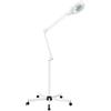 JUDEMII Lampada con lente d'ingrandimento a LED da 24 W, bianca, 8 diottrie con luce, ruotata a 180°, con supporto e ruote, 8 x luci per lente d'ingrandimento, per lettura, cucito, trapuntatura