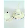 fd-bolletta arredamento e illuminazione lampadario design cavo in plastica bianca sospensione a una luce con piatto in ceramica bordato blu l1038 Misure:H 79cm,Ø piatto 19cm.Le misure sono con vetro.Portalampada attacco Edison E 27