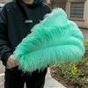 GUOZHAN 10 Pezzi/Lotto Piume di Struzzo Bianche Naturali 15-50 cm Grandi Piume per Decorazioni per la casa e Matrimoni centrotavola da Tavolo Artigianato