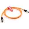 DRRI Canare 12G Neutrik BNC maschio a BNC HD SDI 4K Video Cavo coassiale LV-61S per monitor video CINEPAD7