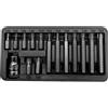Proline 10745 punte, bit, 3/8 pollici Torx sicurezza T20-T55, L = 30/75mm, 15 elementi marca ProLine