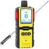 FORENSICS DETECTORS FD Misuratore di Monossido di Carbonio per Ispettori | Certificato di Calibrazione EU | Pompa Integrata e Sonda da 1.2m |