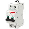 ABB DS202C INT.DIFF.MAGN. 6KA 2P AC C32 30MA