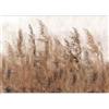 murando PREMIUM Carta da parati 500x350 cm Fotomurali in TNT Murale alla moda Decorazione da Muro XXL Poster Gigante Design Soggiorno Cameretta Carta per paret Botanico Natura b-A-0724-a-b