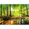 murando - Carta da parati 200x140 cm Fotomurali in TNT Murale alla moda Decorazione da Muro XXL Poster Gigante Design Carta per Pareti Soggiorno Bosco Foresta Natura Albero Verde c-B-0241-a-a