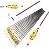 ACCMOS 12pz Spine 340 400 500 600 700 800 Frecce da Caccia ID 6,2 mm Freccia di Carbonio per Giovani Adulti Caccia o Pratica al Bersaglio (30inch, YSpine 700)