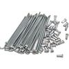 QQY Bicicletta elettrica 10G Diametro 3.0mm Lunghezza 45-220mm raggi + nipples 36pcs/lot (150 mm)