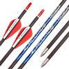 PHILOCS 12pz Frecce in Carbonio ID 4,2mm Rosso Bianco Piuma Spine 300 350 400 500 600 700 800 900 1000 Freccia da Caccia Pratica per Arco Compound Arco Ricurvo Tiro con L'Arco (Spine 900, 29inch)