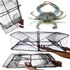 Zepre Rete Bertavello IL KILLER DEL GRANCHIO BLU a due entrate rettangolare pvc nylon 23x45x60 valido da mare e fiume (astici, granchi, canocchie, anguille)