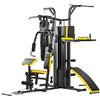 Dione HG5 - Stazione fitness, palestra multifunzionale con sacco da boxe, con 65 kg di pesi incusi, espandibile fino a 100 kg, homegym