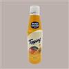 MENZ & GASSER SPA Topping al Gusto Mango Senza Glutine Ideale per Gelato Yogurt Dessert Menz&Gasser 1 Kg