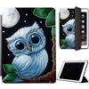 Mixroom - Custodia per iPad Pro 10,5 Pollici Modello 2017 Cover per Apple iPad Smart Case Prottetiva Pieghevole Supporto Stand Disegno GUFO CON GLI OCCHIALI LN148