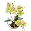 Homefurnishmall Elegante orchidea farfalla artificiale in vaso, altezza 27 cm, fiori finti in plastica per decorazione domestica di nozze, rosa rosso/viola/verde/bianco (verde)