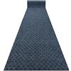 rugsx Zerbino antiscivolo VECTRA 800 Copertura della porta - all'esterno, all'interno, blocca la polvere, blu 200x110 cm